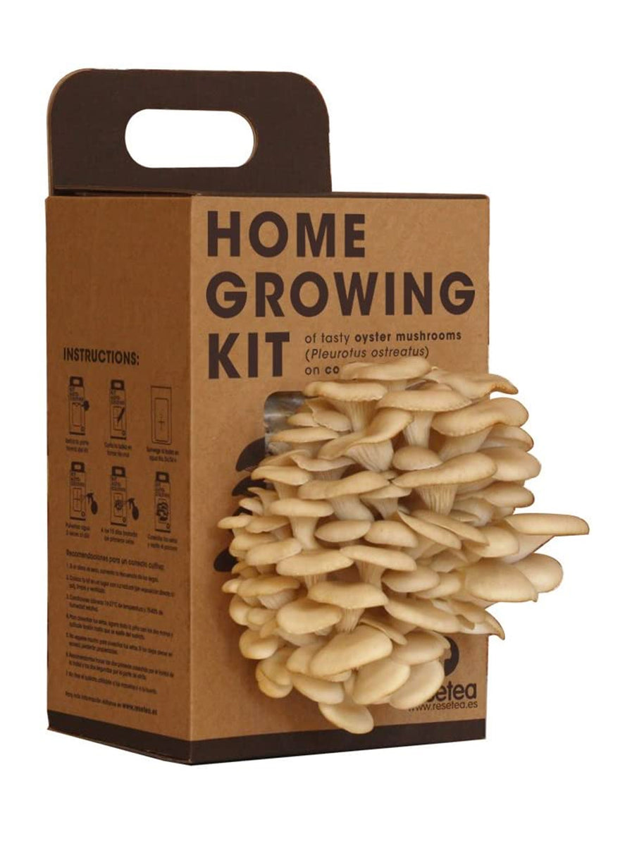Un-Kits - Mushroom Un-Kits - Mushroom