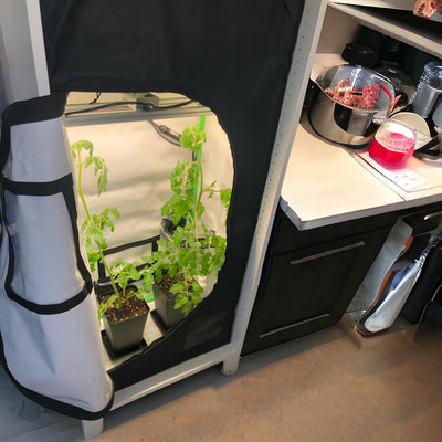 The Ultimate Guide to the Kivi IKEA Grow Cabinet: Discreet Indoor Gardening Made Easy